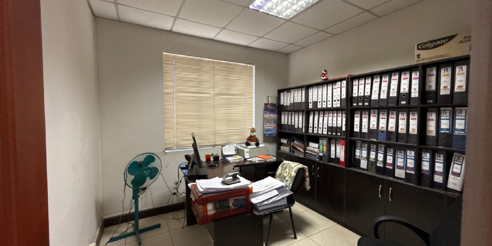 Proyecto nuevo-10