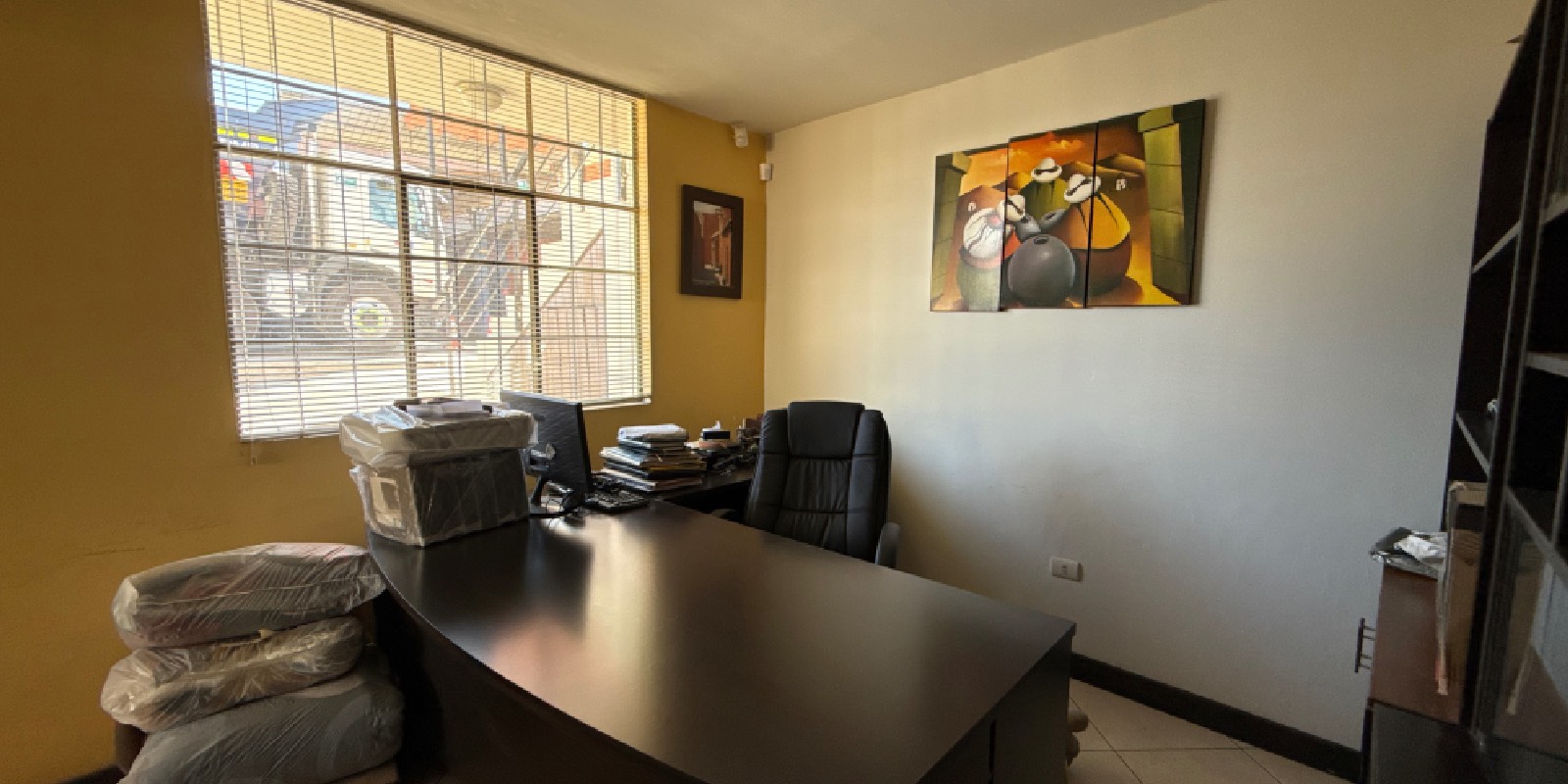 Proyecto nuevo-4